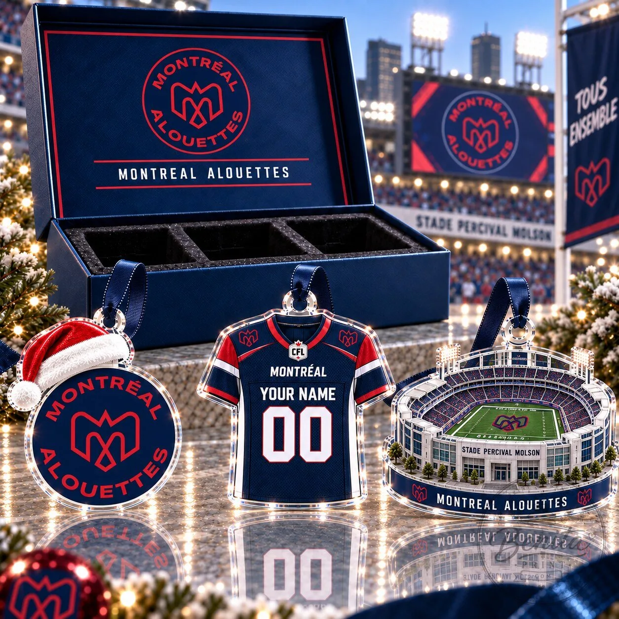 Montreal Alouettes Football Team Stadium and Jersey Acrylic Christmas Ornament Set